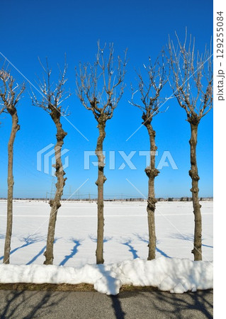 冬の満願寺はさ木(新潟県) 冬の満願寺はさ木(新潟県) 129255084