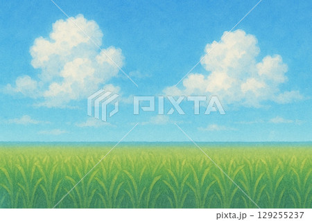 夏の雲シリーズ：田んぼと空が広がる夏の田園風景 129255237