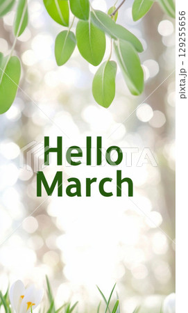Hello march greeting with green leaves surrounding text on light background Hello march greeting with green leaves surrounding text on light background 129255656
