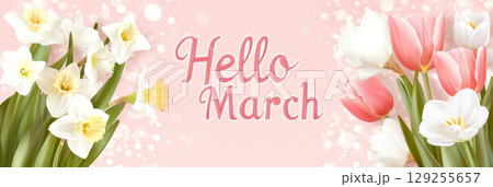 Daffodils bouquet with hello march text on light background 129255657