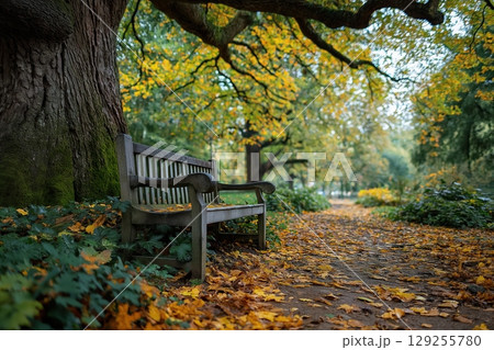 Wooden park bench surrounded by bright autumn leaves beneath oak 129255780