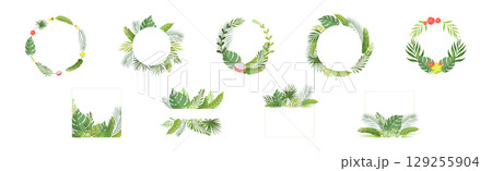Summer Tropical Leaf and Foliage Frame Vector Set 129255904