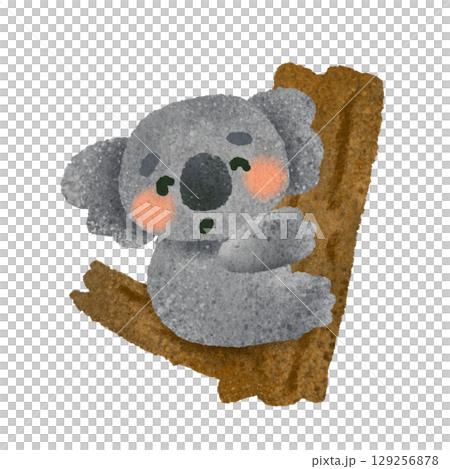 かわいいコアラの手描きイラスト素材 129256878