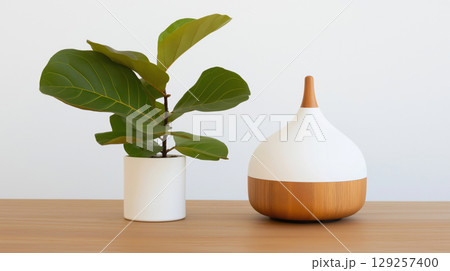 Modern aromatherapy diffuser and fiddle leaf fig plant on wooden table Modern aromatherapy diffuser and fiddle leaf fig plant on wooden table 129257400