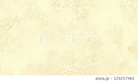 Textured Abstract Surface with Vintage Weathered Appearance 129257462