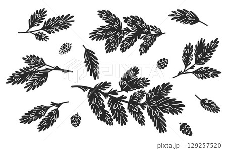 Spruce branches with cones. Black silhouettes of pine tree twigs. Christmas garland. Coniferous plant. Evergreen fir. Xmas decoration with conifer foliage. Vector botanical elements set 129257520