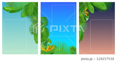 Summer morning, afternoon and evening backgrounds with tropical palm leaves. Jungle plants foliage frame. Night sky. Forest greenery. Empty border. Vector summertime travel banners set Summer morning, afternoon and evening backgrounds with tropical palm leaves. Jungle plants foliage frame. Night sky. Forest greenery. Empty border. Vector summertime travel banners set 129257538
