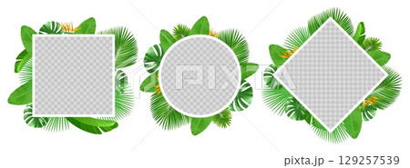 Summer tropical leaves and flowers around frames with transparent backgrounds. Botanical square and round borders. Forest natural foliage. Realistic palm fronds. Vector blank banners set 129257539