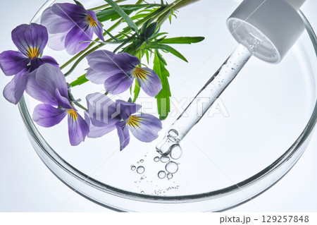 Pansies are lying next to a cosmetic pipette with serum in a petri dish. 129257848