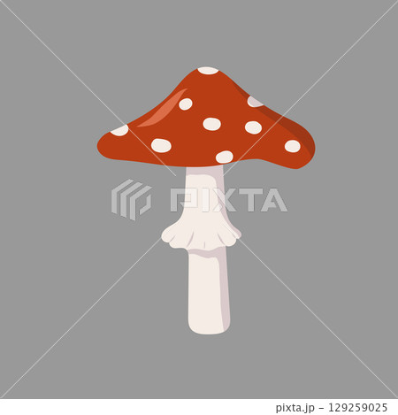 Mushroom, autumn forest plant with red cap and white dots. Iconic poisonous toadstool. Illustration of cute fly agaric. 129259025