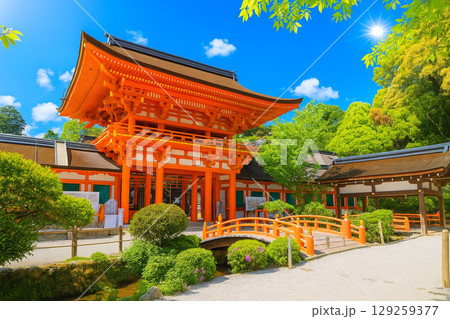 上賀茂神社　桜門　若葉に新緑 129259377