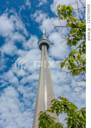 Street view in Toronto downtown, Ontario, Canada 129259808