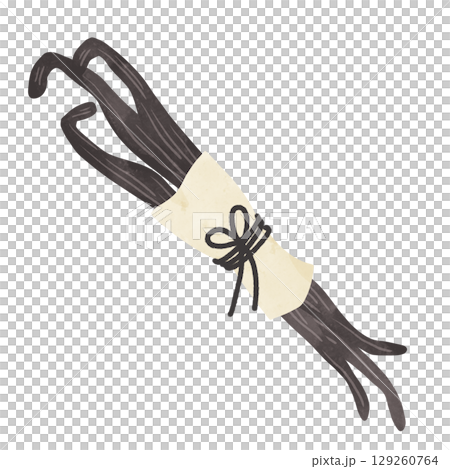 香草豆包裝水彩手繪插畫 129260764