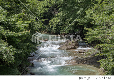 夏の豊かな緑に囲まれた白砂川の渓谷 夏の豊かな緑に囲まれた白砂川の渓谷 129261638