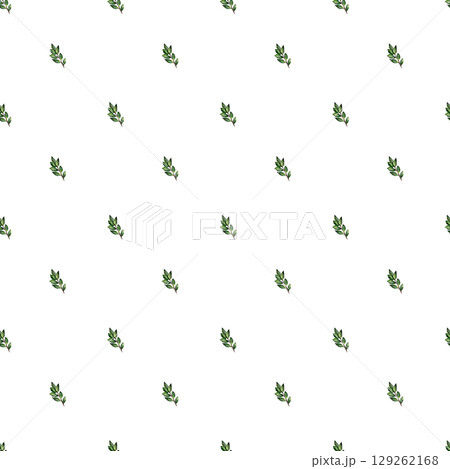 Watercolor seamless pattern with green twigs with leaves. Botanical illustration, isolated on white background. For textile, print, tablecloth. 129262168
