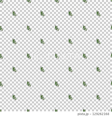 Watercolor seamless pattern with green twigs with leaves. Botanical illustration, isolated on white background. For textile, print, tablecloth. 129262168