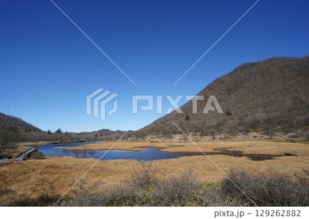 11月の覚満淵(群馬県前橋市) 129262882