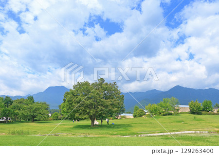 夏の安曇野ちひろ公園 129263400