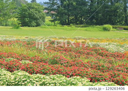 夏の安曇野ちひろ公園 夏の安曇野ちひろ公園 129263406