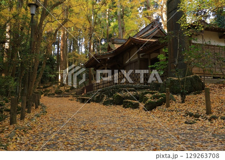 秋の青空と紅葉 129263708