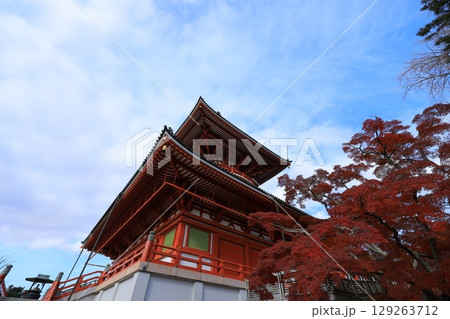 秋の青空と紅葉 秋の青空と紅葉 129263712