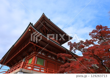 秋の青空と紅葉 秋の青空と紅葉 129263713