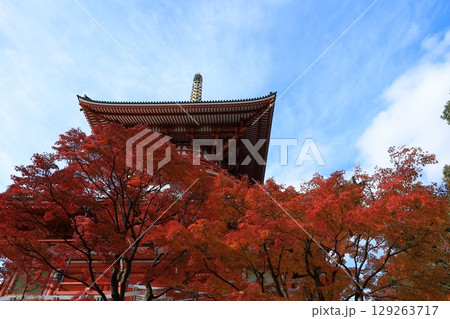 秋の青空と紅葉 129263717