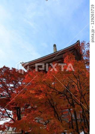 秋の青空と紅葉 秋の青空と紅葉 129263719