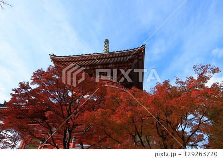 秋の青空と紅葉 129263720