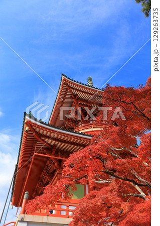 秋の青空と紅葉 秋の青空と紅葉 129263735