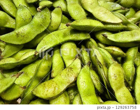 夏が旬の新鮮な生のだだちゃ豆6 夏が旬の新鮮な生のだだちゃ豆6 129263758