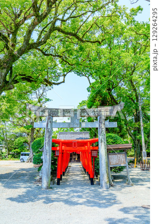 初夏の太郎稲荷大明神 三柱神社 福岡県柳川市 初夏の太郎稲荷大明神 三柱神社 福岡県柳川市 129264295