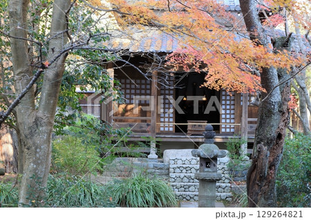 鎌倉 明月院 時頼廟所 鎌倉 明月院 時頼廟所 129264821