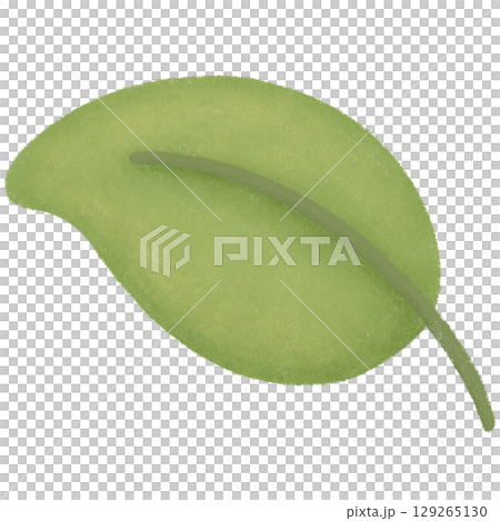 Green leaf 129265130