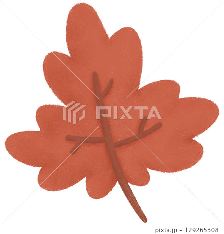 Red maple leaf  129265308