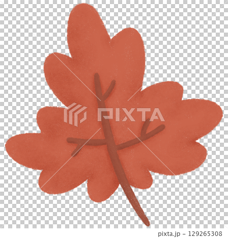 Red maple leaf  129265308