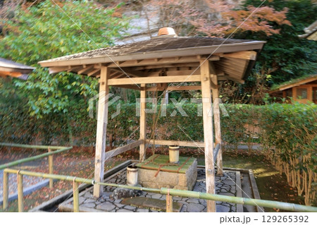 鎌倉　明月院　瓶の井 129265392