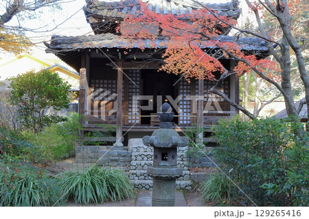 鎌倉 明月院 時頼廟所 鎌倉 明月院 時頼廟所 129265416