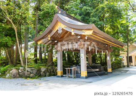 木々に囲まれた「しらやま比咩神社」の表参道の鳥居|パワースポット|石川県白山市 木々に囲まれた「しらやま比咩神社」の表参道の鳥居|パワースポット|石川県白山市 129265470