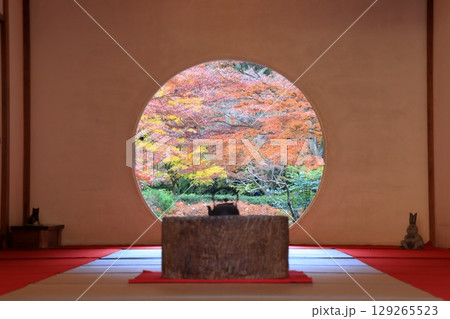 鎌倉 明月院本堂 秋の悟りの窓 鎌倉 明月院本堂 秋の悟りの窓 129265523