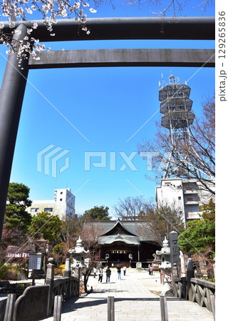 松本市 四柱神社の鳥居と御幸橋と社殿 松本市 四柱神社の鳥居と御幸橋と社殿 129265836