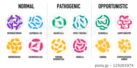 Normal pathogenic and opportunistic bacteria and microbes including examples like Salmonella Klebsiella and Bifidobacterium 129265974