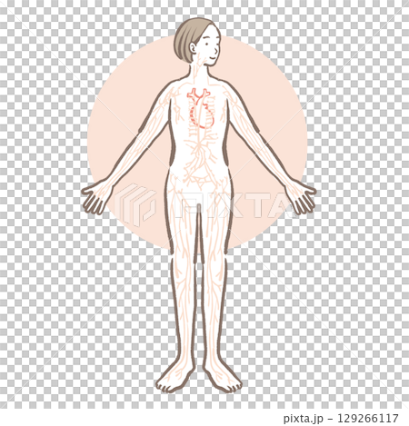 女性身體和淋巴圖像的插圖 女性身體和淋巴圖像的插圖 129266117