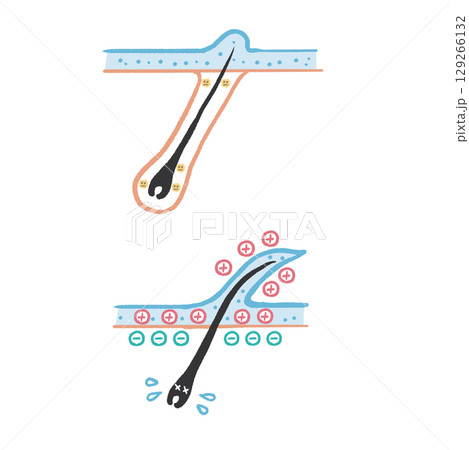 コーティング剤が付着して頭皮のバリア機能が低下するイラスト 129266132
