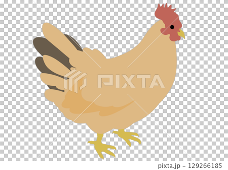 Simple brown chicken illustration 129266185