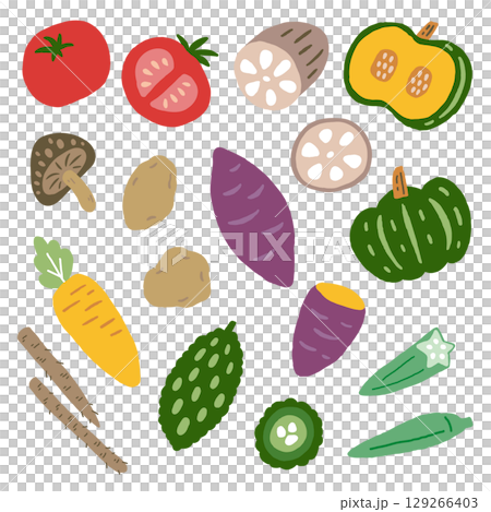 いろいろな野菜のセット 129266403