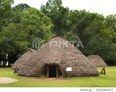 水子貝塚公園　縄文時代の復元竪穴住居　埼玉県 129266431