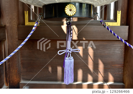 木漏れ日差し込む寒川神社の神門にある大きな提灯の紫色の房 木漏れ日差し込む寒川神社の神門にある大きな提灯の紫色の房 129266466