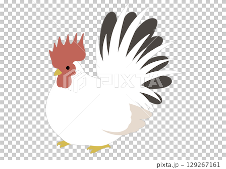 Simple black and white chicken illustration 129267161
