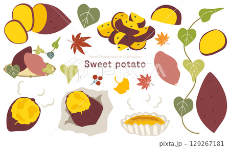 かわいい手描きのサツマイモのイラスト素材セット 129267181